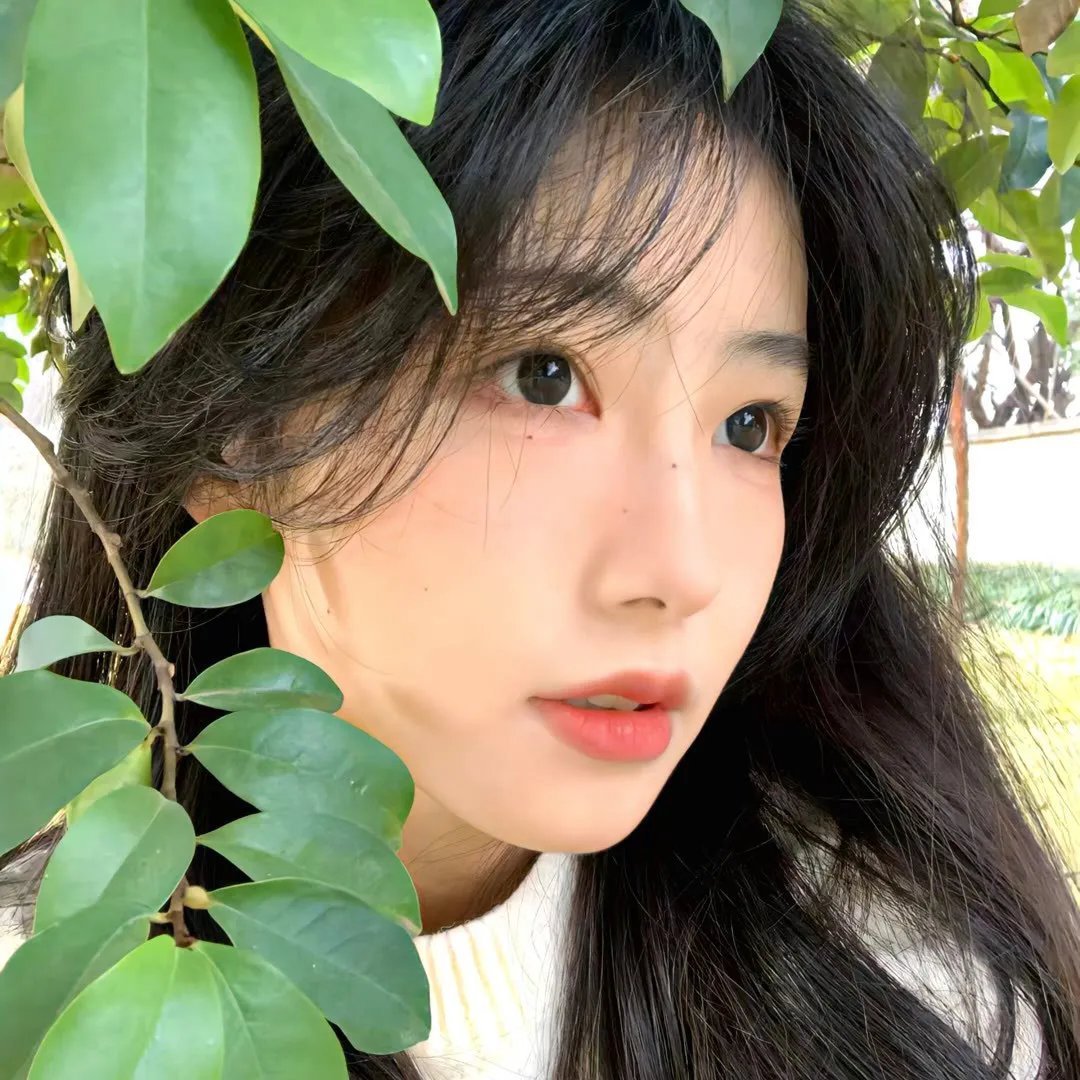 信蜂